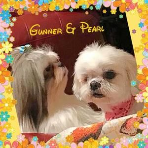 Meet your Posher, Sheila taylor ingle